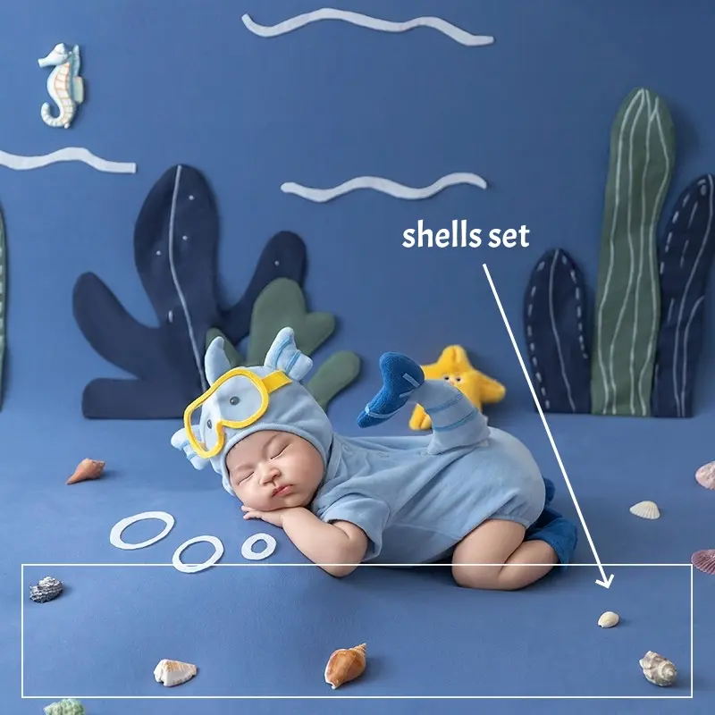 Shells Set